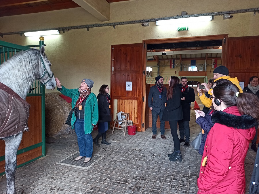 Dakovo State Stud Farm stables